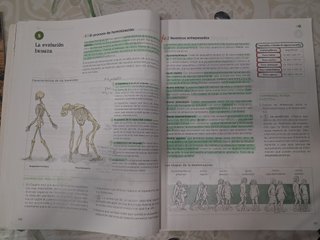 LIBRO TEXTO BIOLOGÍA Y GEOLOGÍA  (1,2,3) 4o ESO.