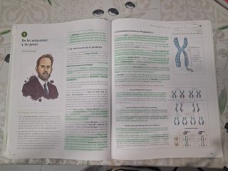 LIBRO TEXTO BIOLOGÍA Y GEOLOGÍA  (1,2,3) 4o ESO.