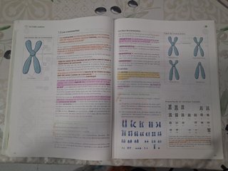 LIBRO TEXTO BIOLOGÍA Y GEOLOGÍA  (1,2,3) 4o ESO.