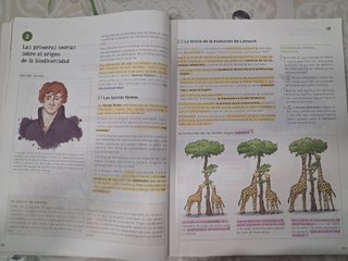 LIBRO TEXTO BIOLOGÍA Y GEOLOGÍA  (1,2,3) 4o ESO.