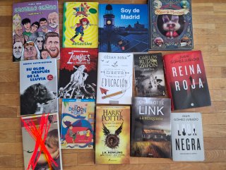 Lote libros variados