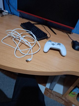 Mando de nintendo con cable