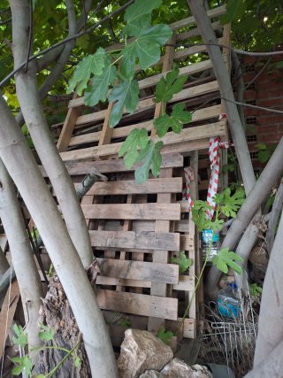 Madera y palets gratis