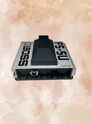 Boss FS-5U Pedale Footswitch Chitarra