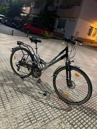 Bicicleta McKenzie