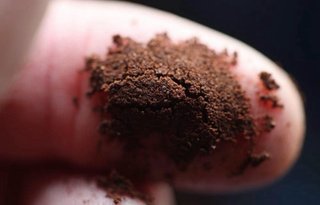 Molinillo de café profesional negro