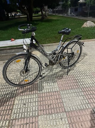Bicicleta McKenzie