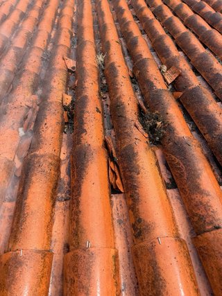 Servicio de limpieza de tejados