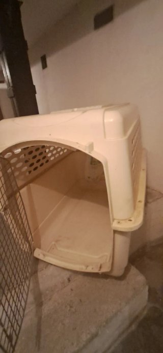 Transportín/Guacal para perros beige
