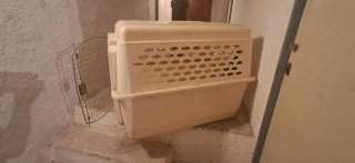 Transportín/Guacal para perros beige