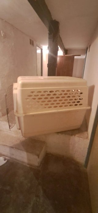 Transportín/Guacal para perros beige