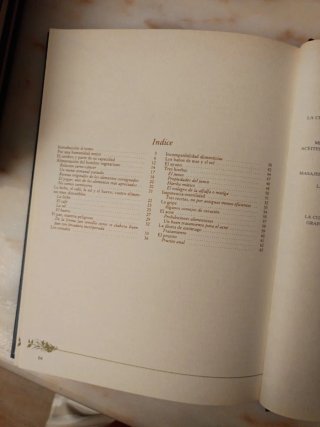 Alimentación y cocina natural Vegetarismo
