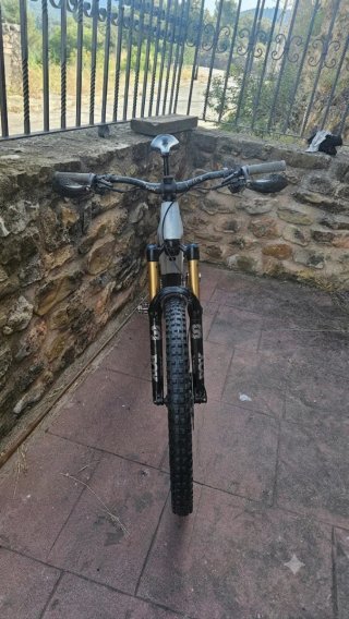 Orbea Wild talla L 820km