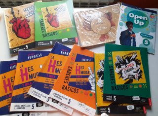 Lote de libros de texto de 5° de Primaria.