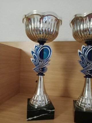 Lote 3 copas trofeo plateadas