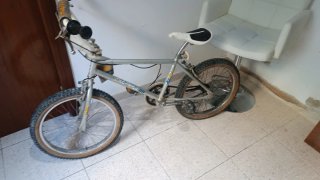 Skate Flameado