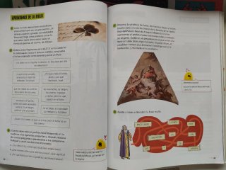 Libros 4 de primaria. Buen estado. Forrados