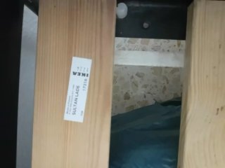 Cama individual metálica con somier