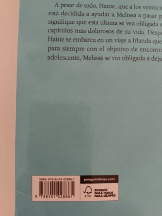 Buscando a Ashley (Danielle Stell)