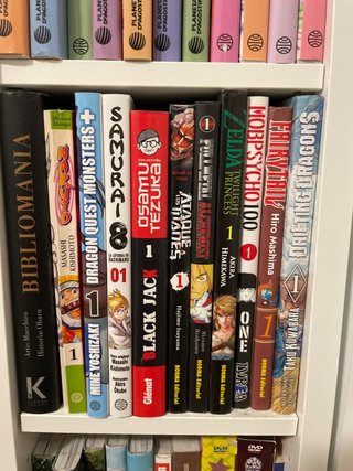 Lote 11 Mangas Variados