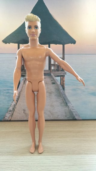 Da 1€ Bambole Ken Barbie Mattel
