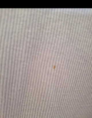 Pigiama estivo lilla in cotone
