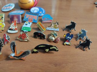 Pins y chapas