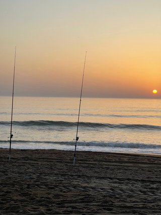 Caña de pesca Vercelli Oxigen Cobra 2