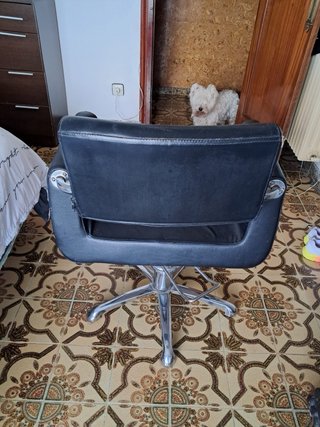 Sillon de peluqueria Regulable en alturas