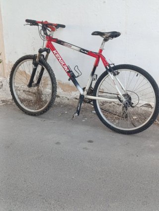 Bicicleta de Montaña