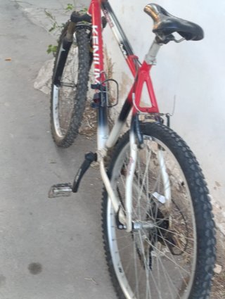 Bicicleta de Montaña