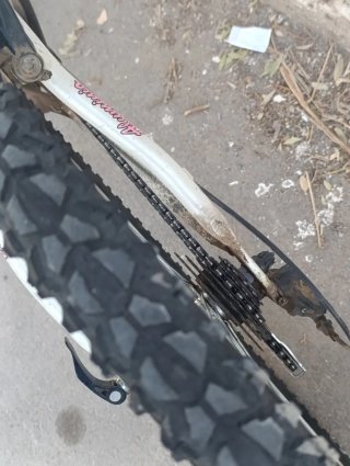 Bicicleta de Montaña