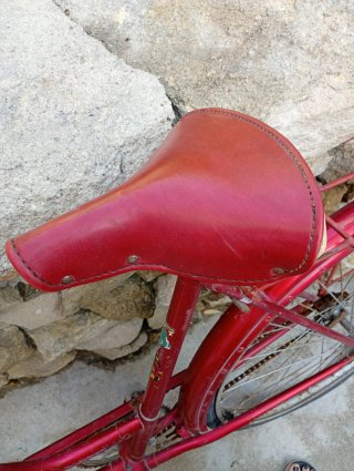 Bicicleta BH gacela con sillín 101-234