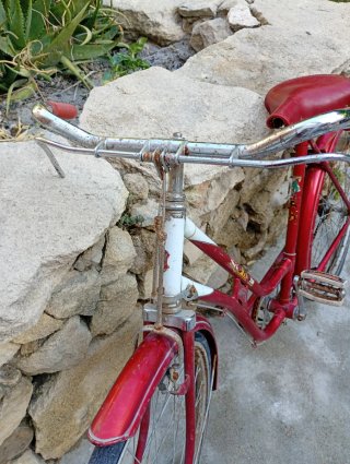 Bicicleta BH gacela con sillín 101-234