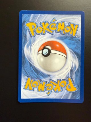 Carta Pokémon Mega gengar + cofanetto