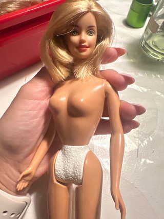 Lote di barbie