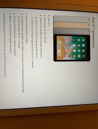 iPad 5ª Gen 2017 Dorado