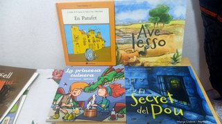 Lote de 28 cuentos de catalan