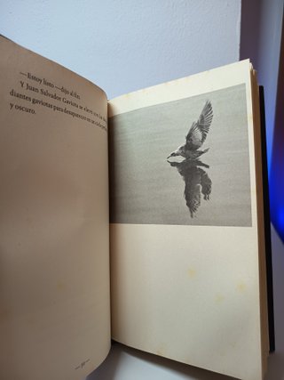 LIBRO Juan Salvador Gaviota – Richard Bach