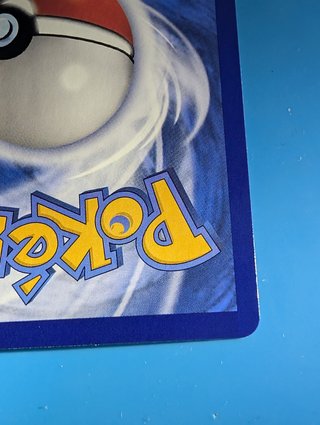 Carta Pokémon Grotle CBB4C Estrellas