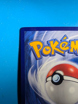 Carta Pokémon Grotle CBB4C Estrellas