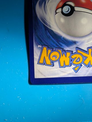Carta Pokémon Grotle CBB4C Estrellas