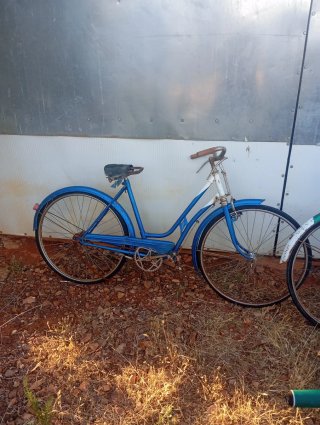 Bicicleta Clásica Azul
