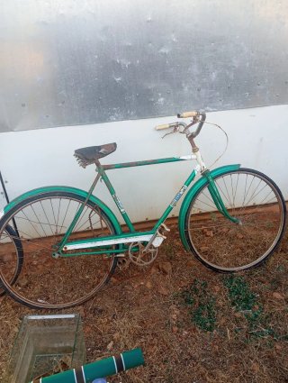 Bicicleta Clásica Verde