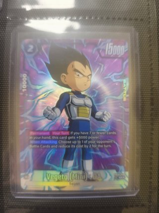 Vegeta Mini SR Alter