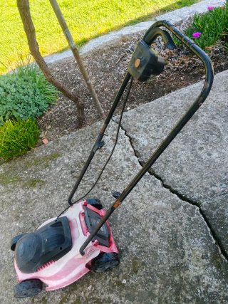 Tagliaerba Elettrico