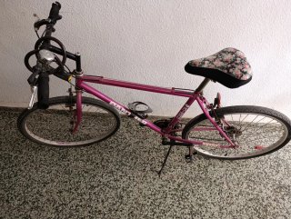 Bicicleta Panther Morada