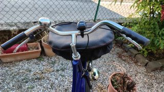 Bicicletta da donna blu con cestino