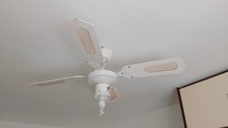 Regalo 2 ventilatori da soffitto