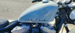 Harley Davidson 883 Carburación